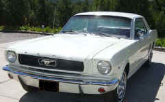 1965 Ford Mustang LtFt ws.jpg (22275 bytes)
